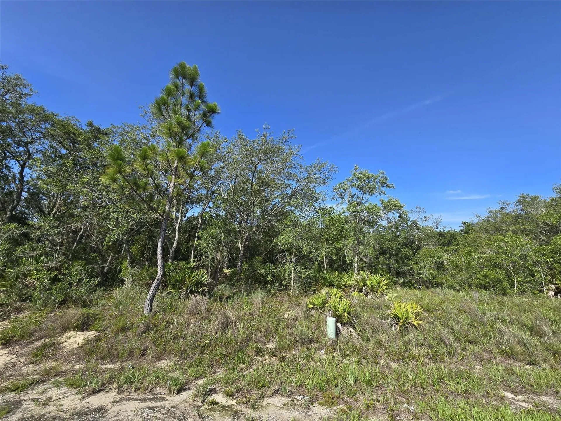 112 Tench Drive Kissimmee FL 34759