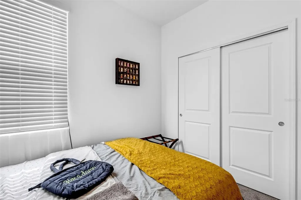 5229 Red Coral Circle Mount Dora FL 32757