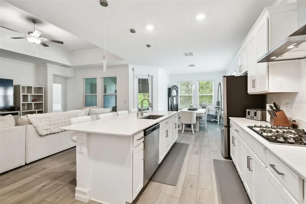 9810 Carabiner Way Land O Lakes FL 34637