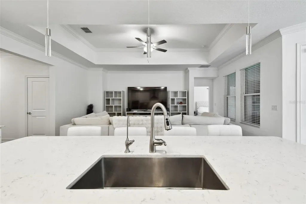 9810 Carabiner Way Land O Lakes FL 34637