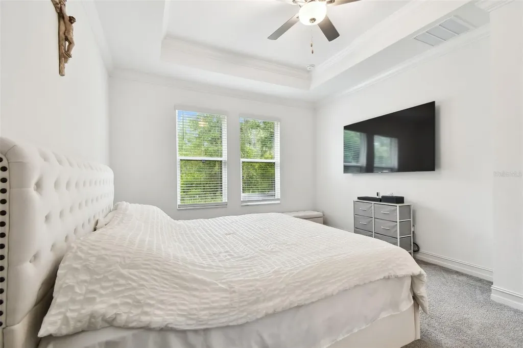 9810 Carabiner Way Land O Lakes FL 34637