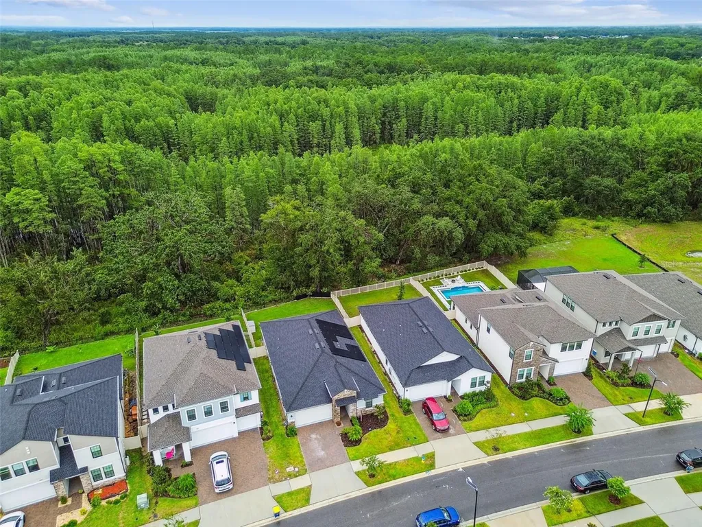 9810 Carabiner Way Land O Lakes FL 34637