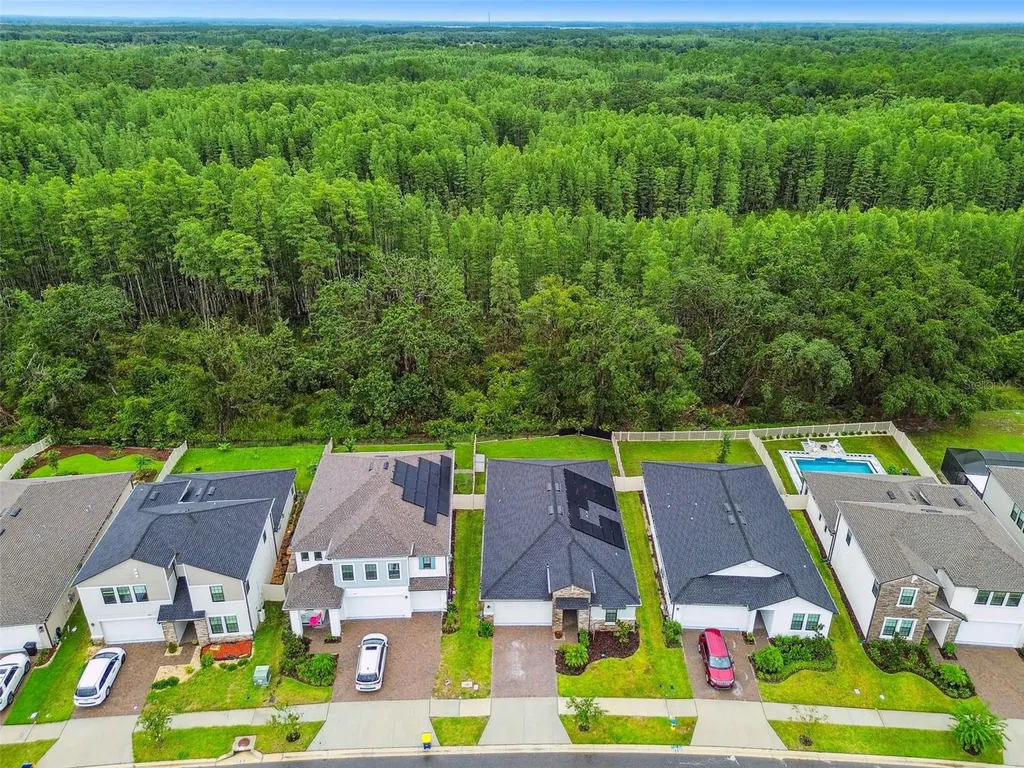 9810 Carabiner Way Land O Lakes FL 34637
