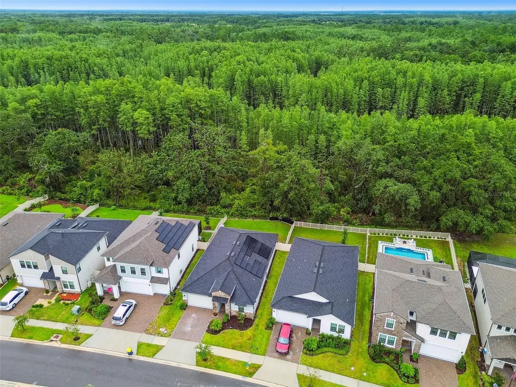 9810 Carabiner Way Land O Lakes FL 34637