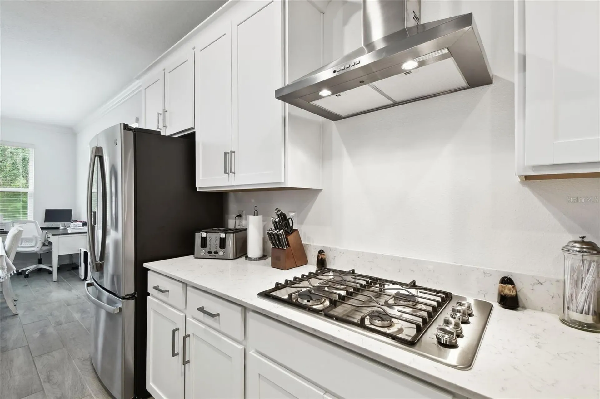 9810 Carabiner Way Land O Lakes FL 34637