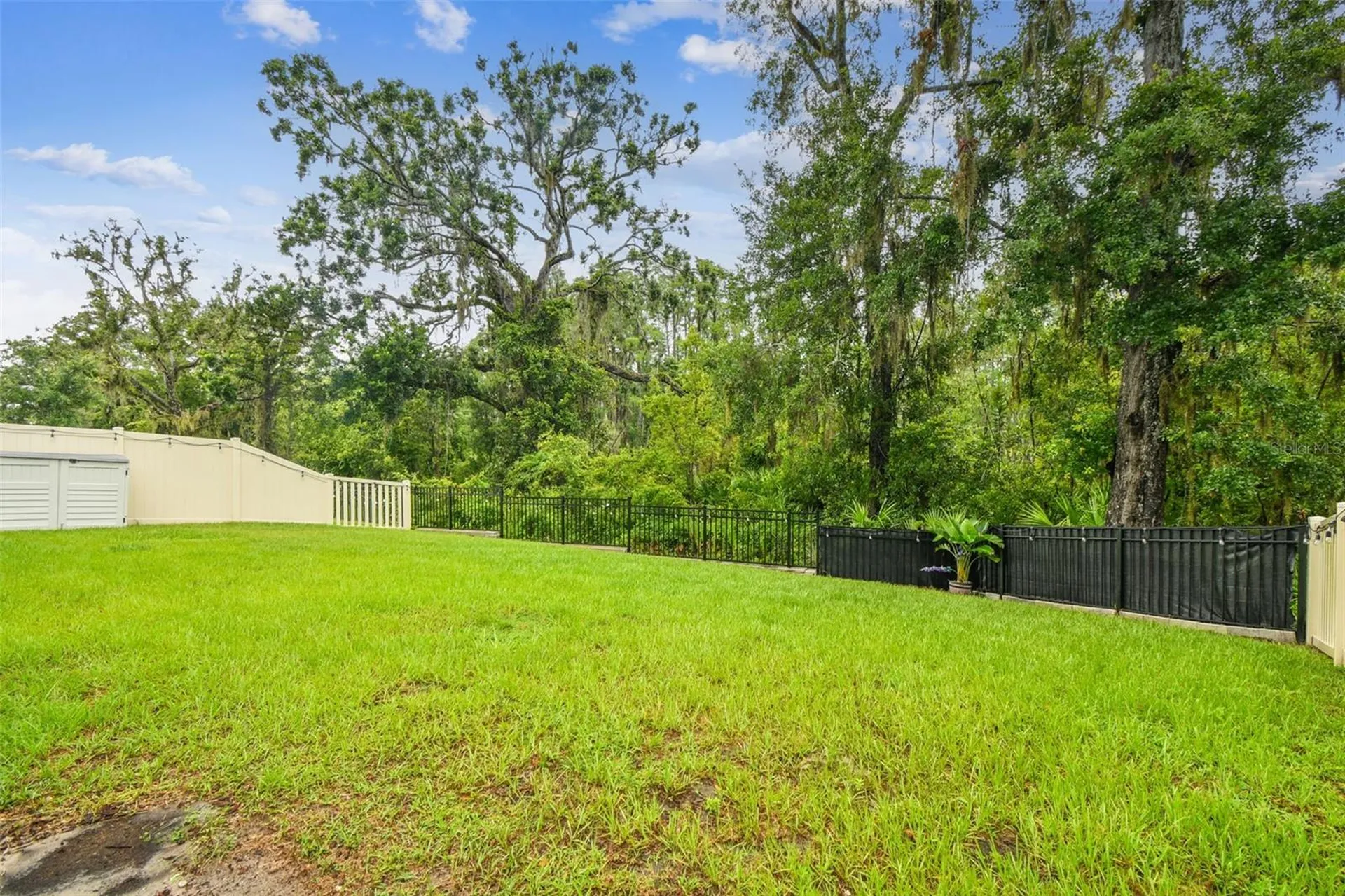 9810 Carabiner Way Land O Lakes FL 34637