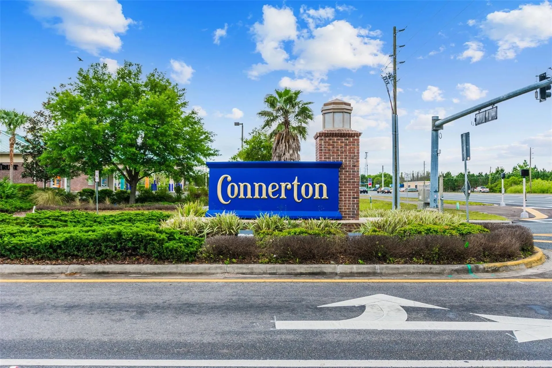 9810 Carabiner Way Land O Lakes FL 34637