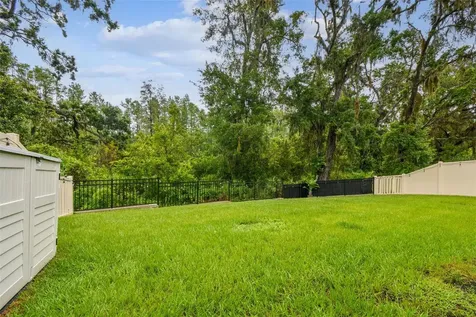 9810 Carabiner Way Land O Lakes FL 34637