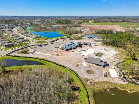 9810 Carabiner Way Land O Lakes FL 34637