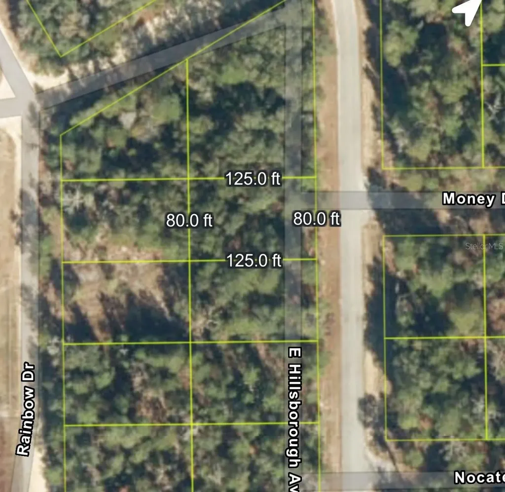 905 E Hillsborough Avenue Florahome FL 32140