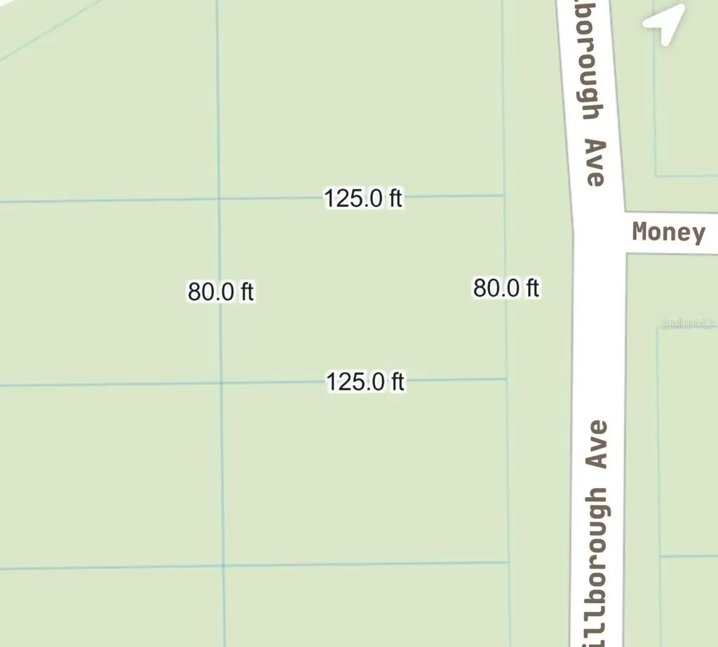 905 E Hillsborough Avenue Florahome FL 32140