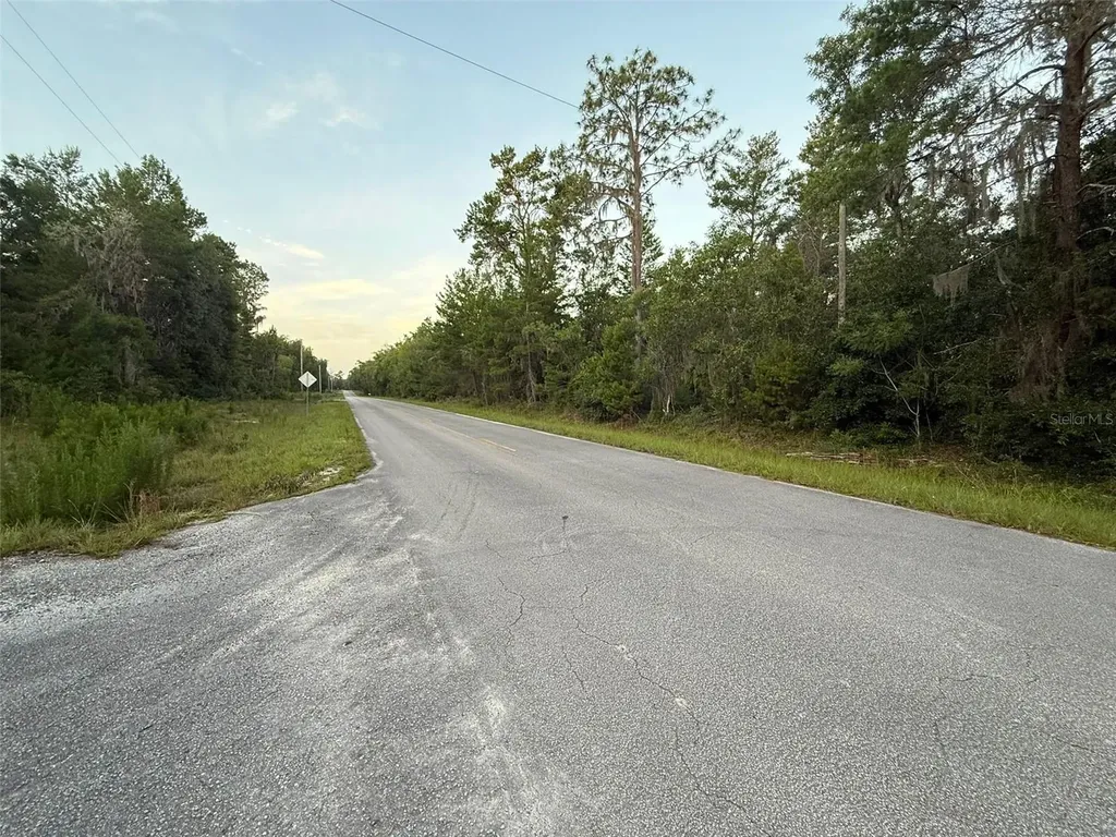 905 E Hillsborough Avenue Florahome FL 32140