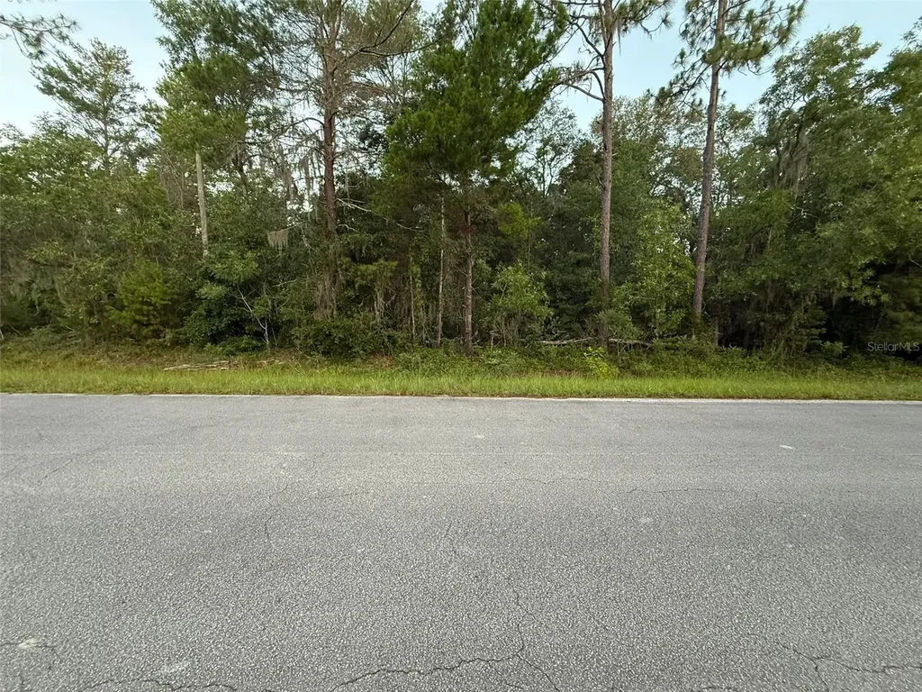 905 E Hillsborough Avenue Florahome FL 32140