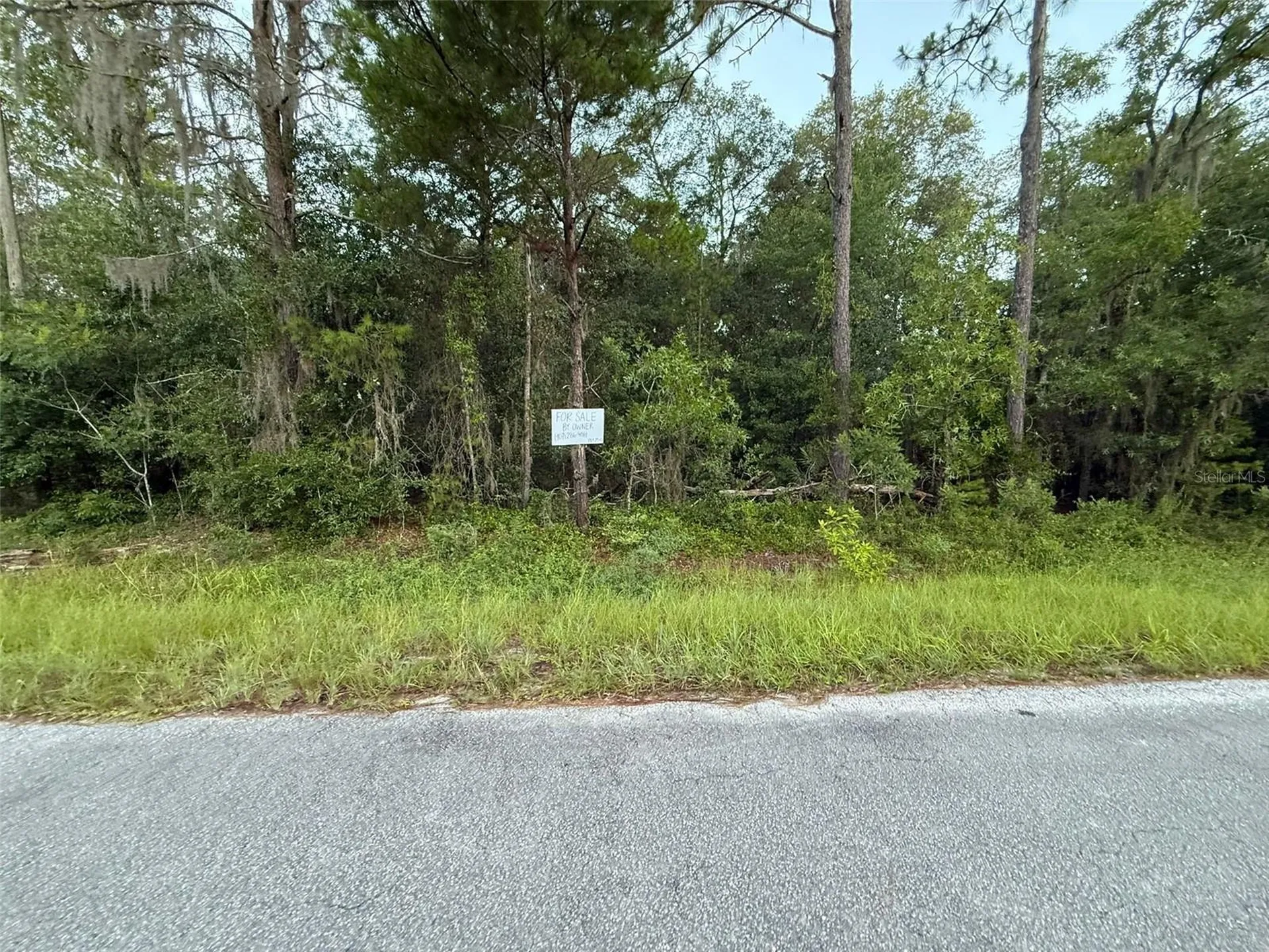 905 E Hillsborough Avenue Florahome FL 32140