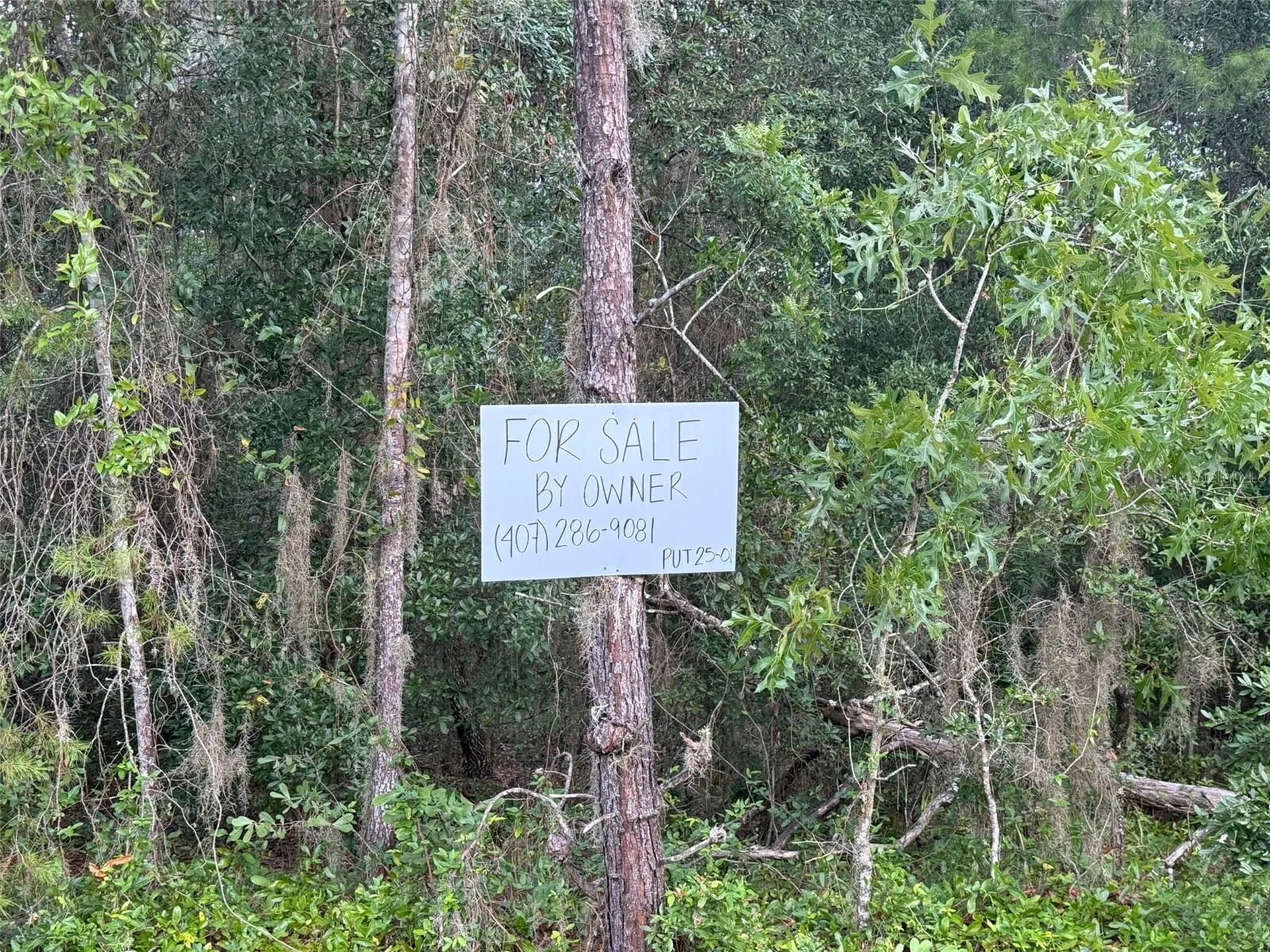 905 E Hillsborough Avenue Florahome FL 32140