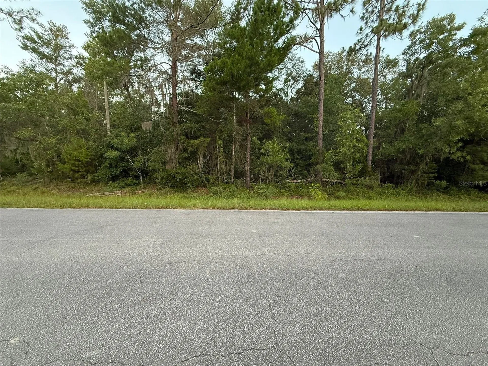 905 E Hillsborough Avenue Florahome FL 32140