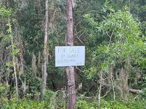 905 E Hillsborough Avenue Florahome FL 32140