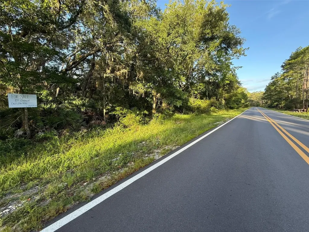 161 Wallace Street Interlachen FL 32148