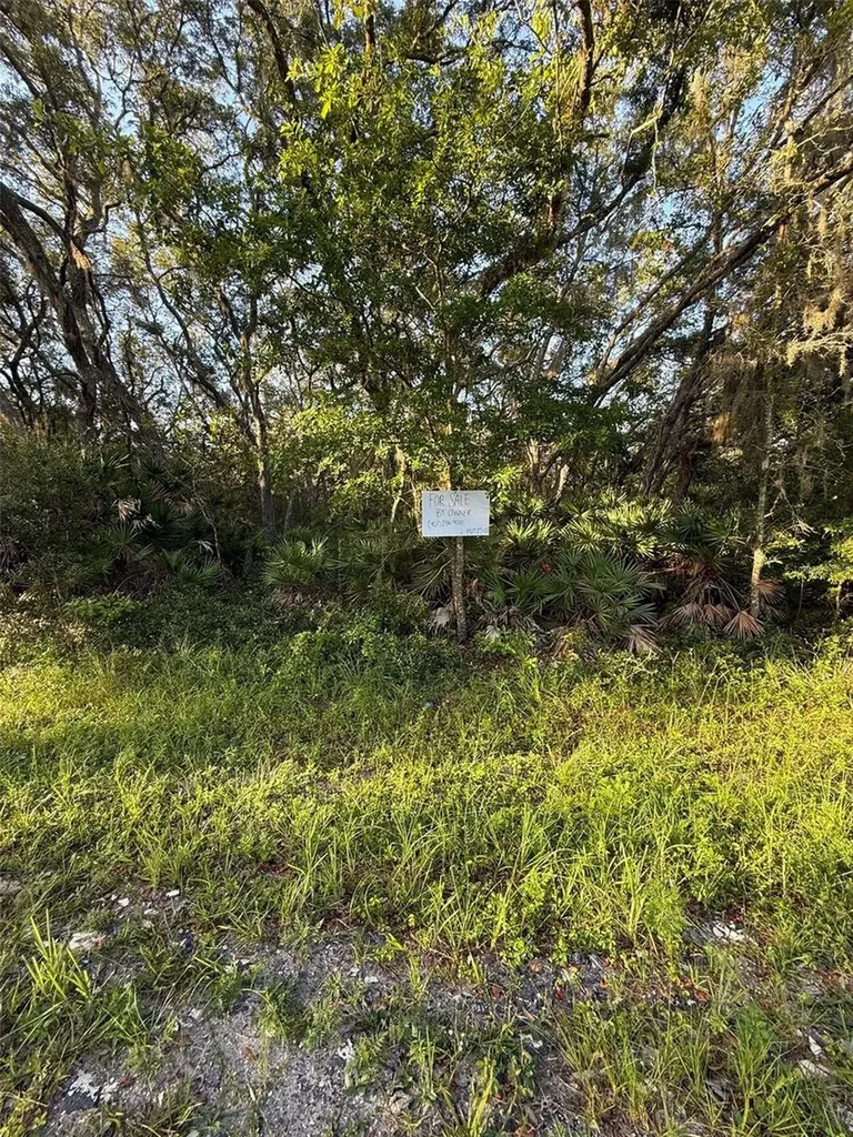 161 Wallace Street Interlachen FL 32148