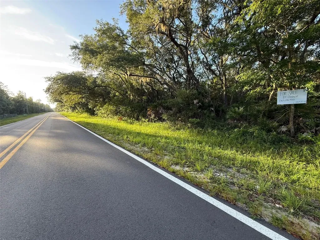161 Wallace Street Interlachen FL 32148