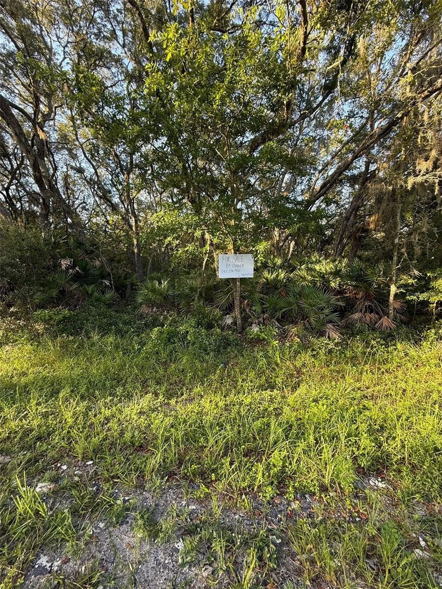 161 Wallace Street Interlachen FL 32148