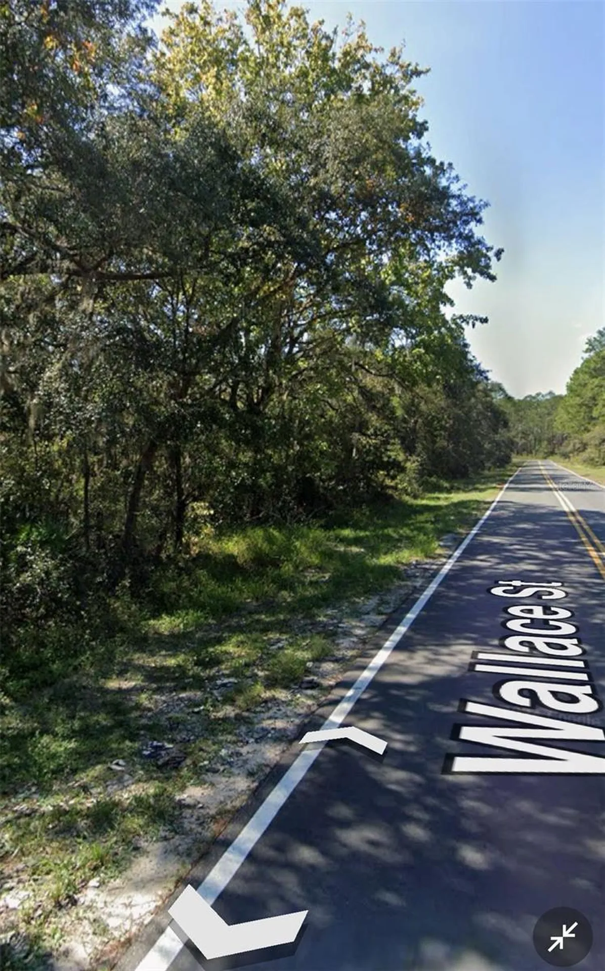 161 Wallace Street Interlachen FL 32148