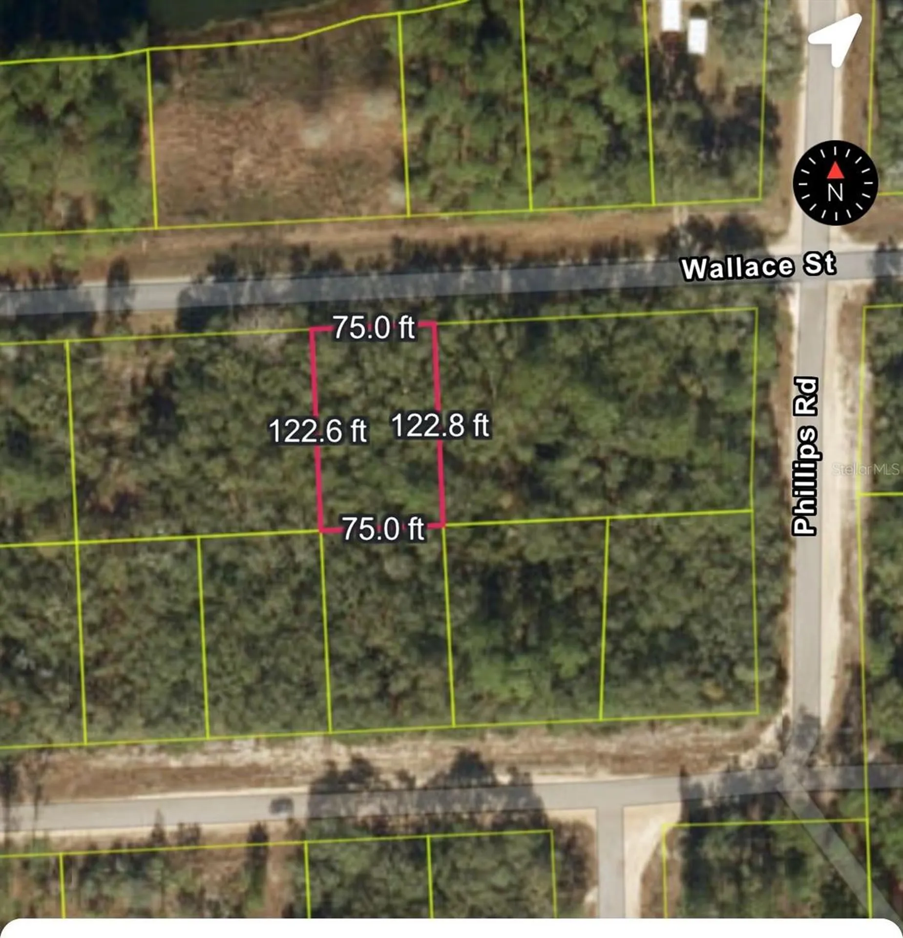 161 Wallace Street Interlachen FL 32148