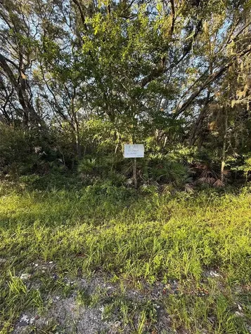 161 Wallace Street Interlachen FL 32148