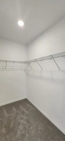 1341 Sawgrass Hammock Lane Davenport FL 33837