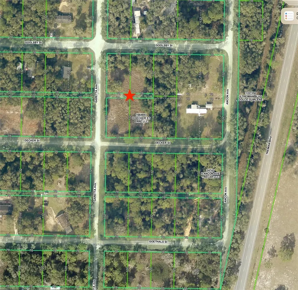 0 Goolsby Street Webster FL 33597