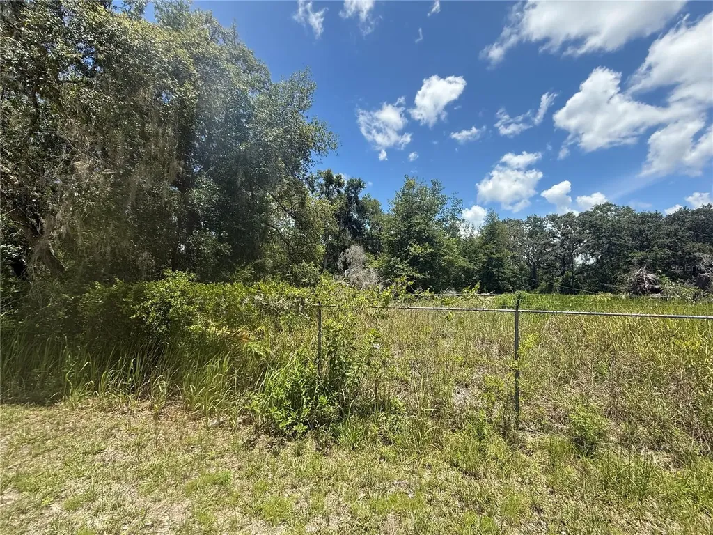 0 Goolsby Street Webster FL 33597