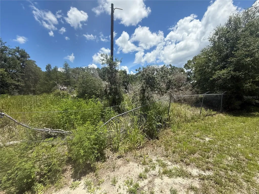 0 Goolsby Street Webster FL 33597