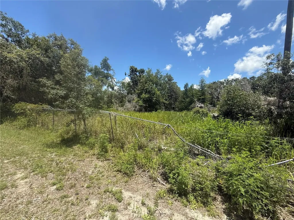 0 Goolsby Street Webster FL 33597