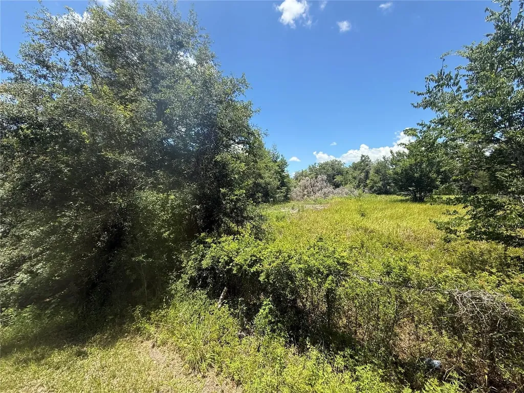 0 Goolsby Street Webster FL 33597