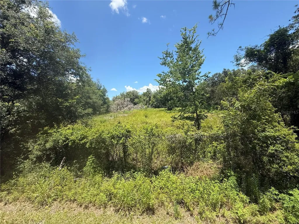 0 Goolsby Street Webster FL 33597