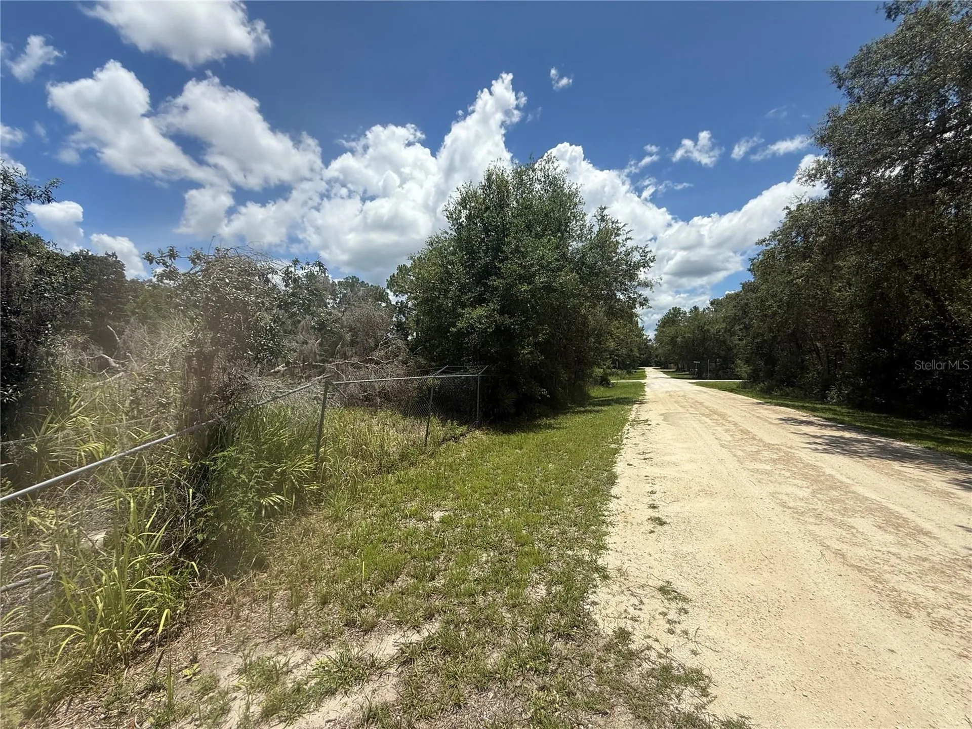 0 Goolsby Street Webster FL 33597