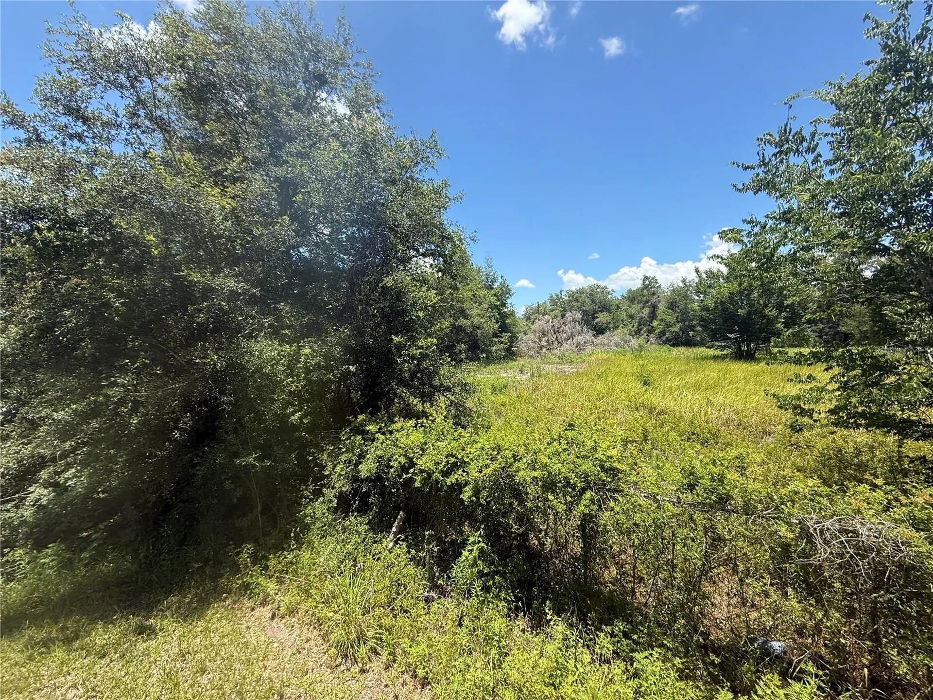 0 Goolsby Street Webster FL 33597
