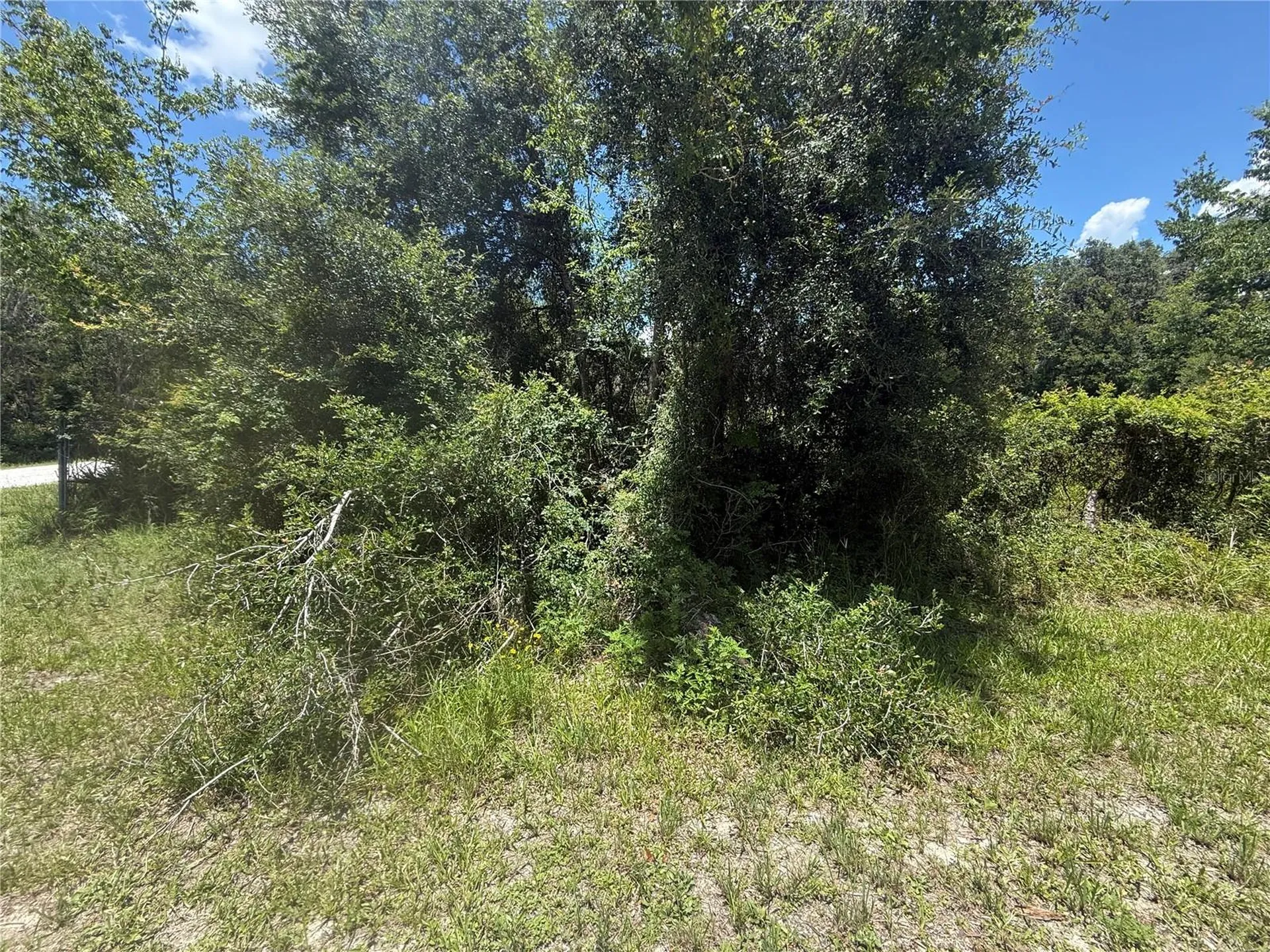 0 Goolsby Street Webster FL 33597