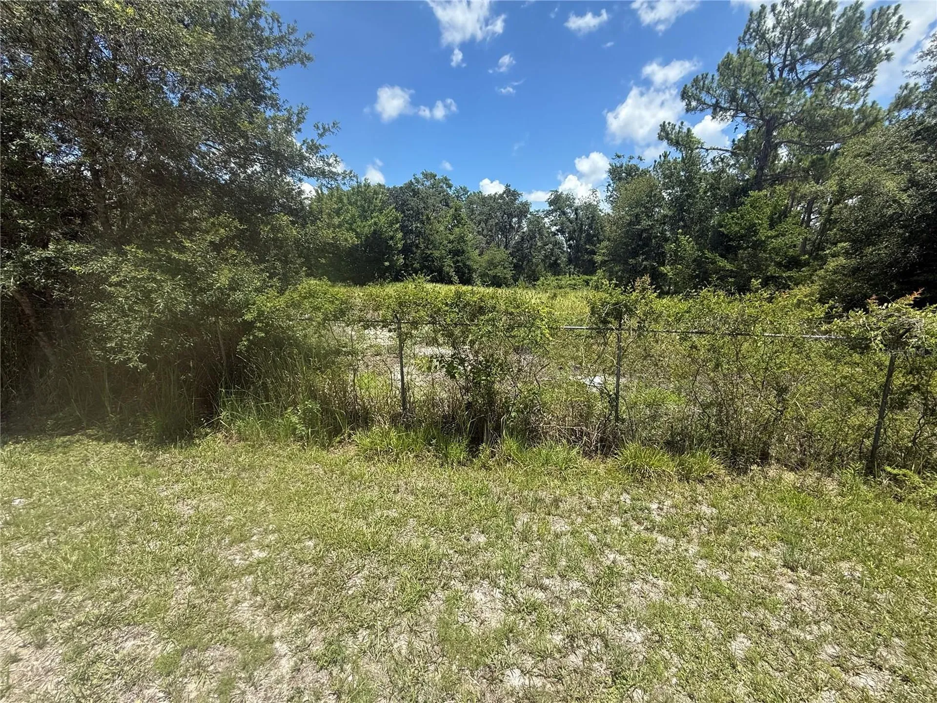 0 Goolsby Street Webster FL 33597