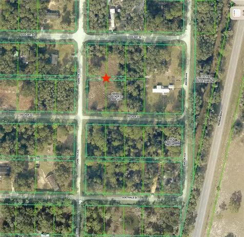 0 Goolsby Street Webster FL 33597
