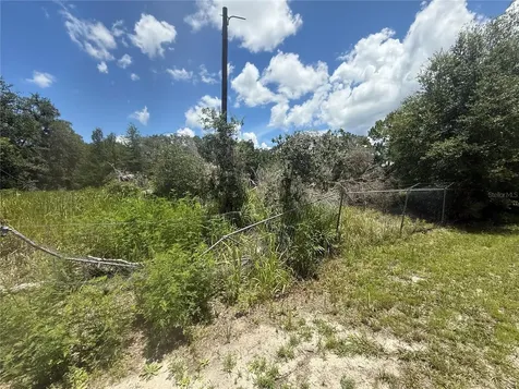 0 Goolsby Street Webster FL 33597