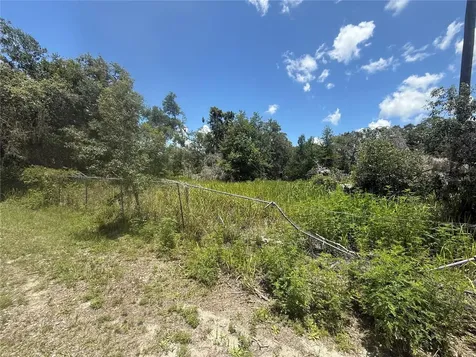 0 Goolsby Street Webster FL 33597