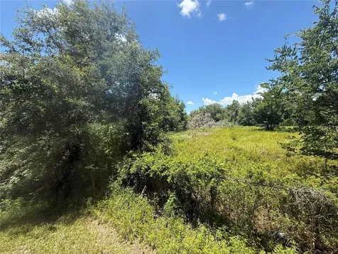 0 Goolsby Street Webster FL 33597