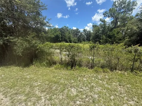 0 Goolsby Street Webster FL 33597