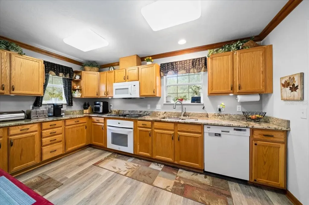 203 NW Highway 441 Micanopy FL 32667