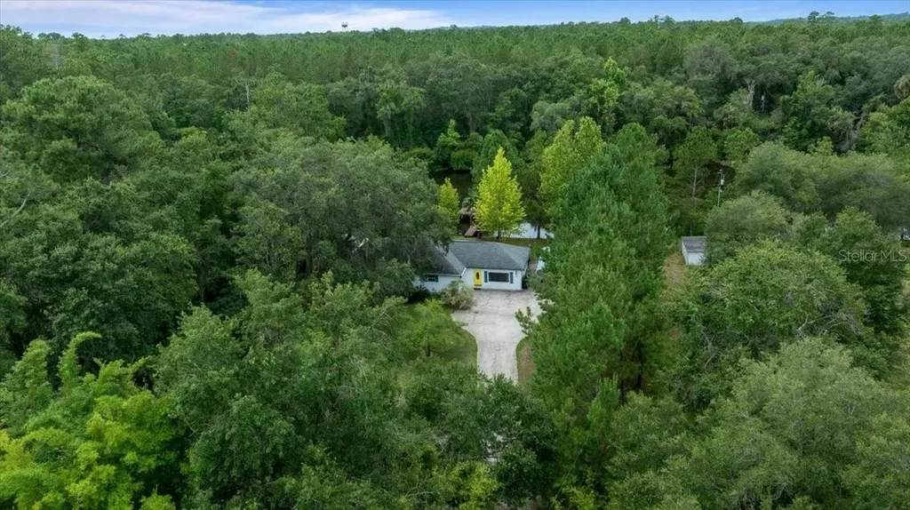 203 NW Highway 441 Micanopy FL 32667