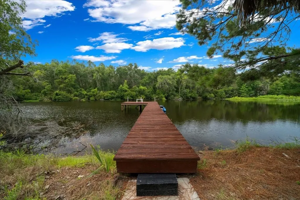 203 NW Highway 441 Micanopy FL 32667