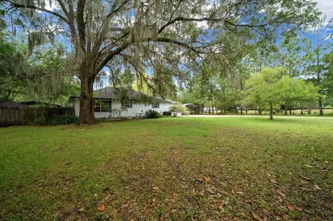 203 NW Highway 441 Micanopy FL 32667
