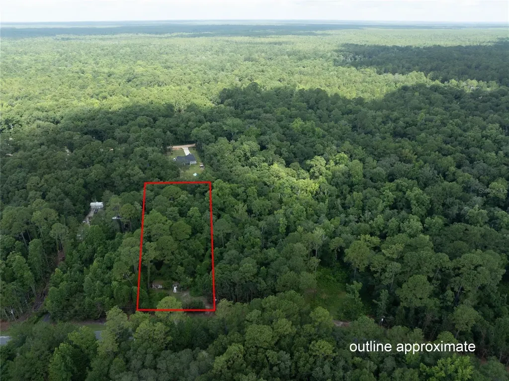 5165 Chicory Circle Middleburg FL 32068