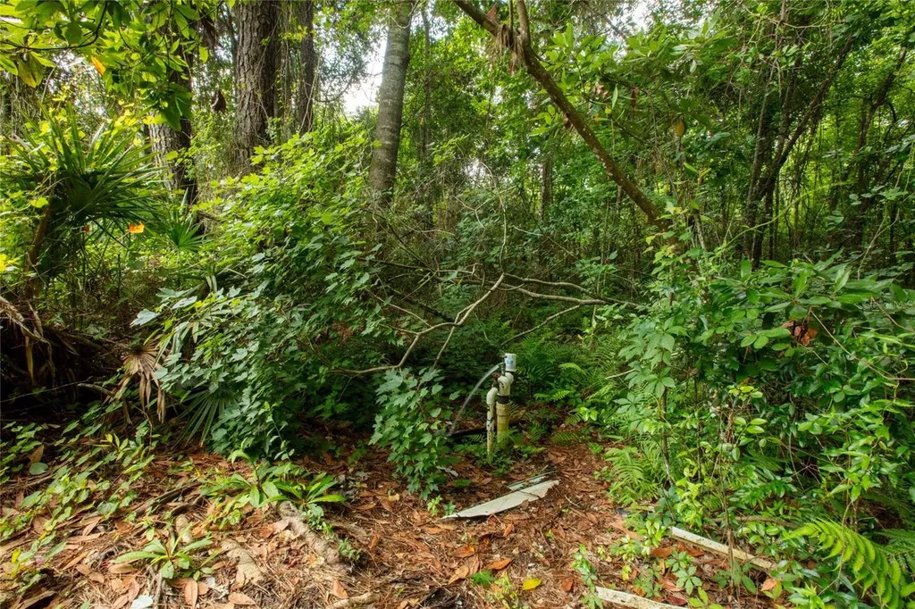 5165 Chicory Circle Middleburg FL 32068